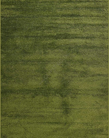 SH STAN 6 Шагги